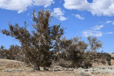 DSC_2292 (Large).JPG